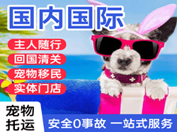 晋江机场邮寄国际宠物托运 【国